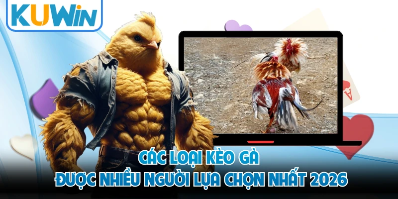 Các loại kèo gà được nhiều người lựa chọn nhất 2026