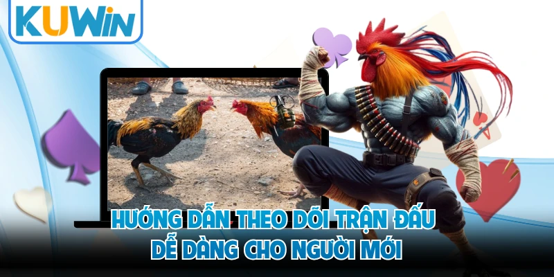 Hướng dẫn theo dõi trận đấu dễ dàng cho người mới